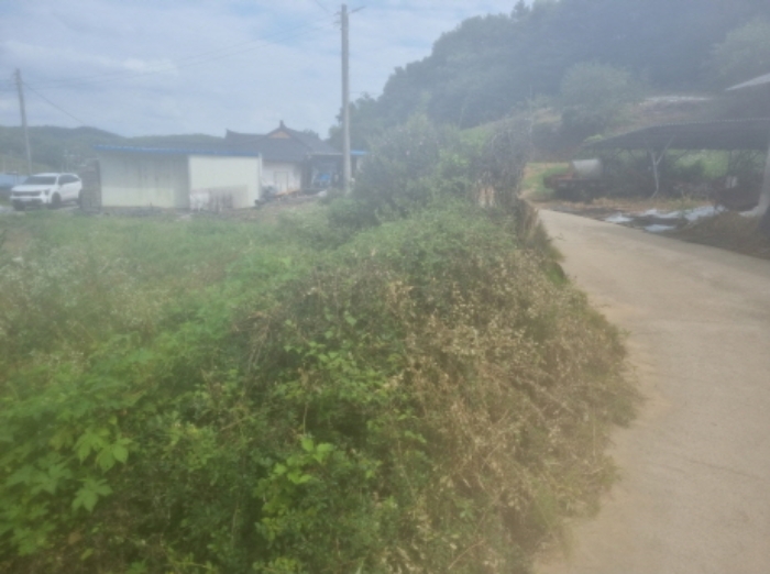 화성시 서신면 사곳리 전답 경매 물건 사진
