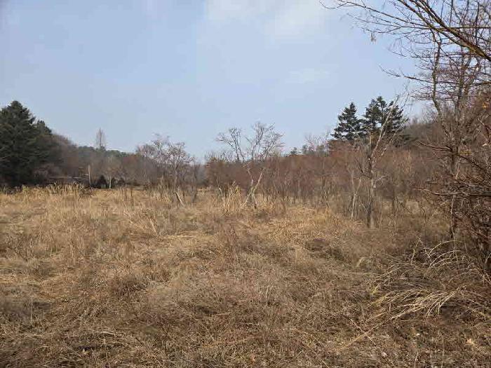 용인시 처인구 남사읍 전답 경매 물건 사진