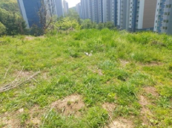 용인시 수지구 신봉동 임야 경매 물건 사진