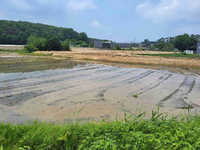 화성시 향남읍 구문천리 답 경매 물건 사진