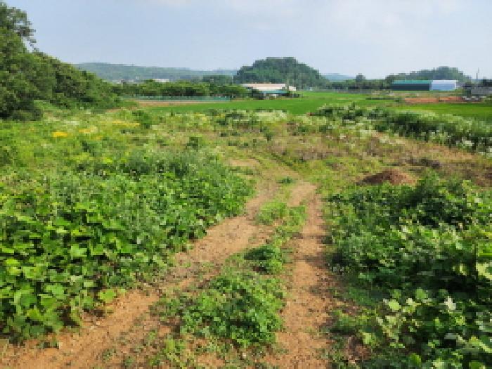 화성시 우정읍 석천리 전답 경매 물건 사진