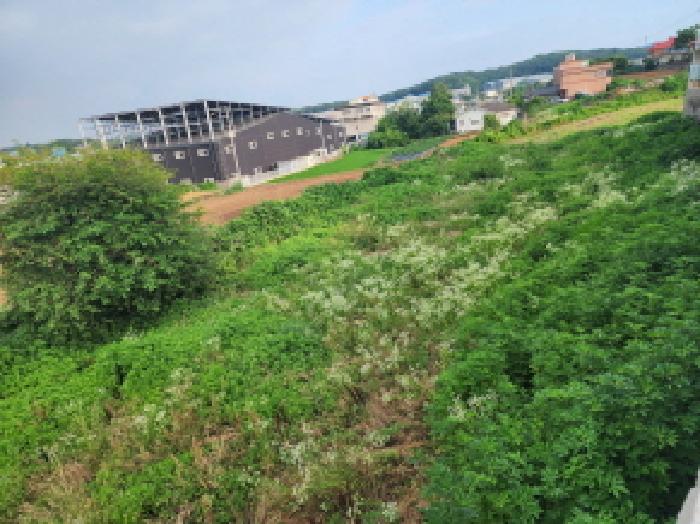 화성시 장안면 독정리 전답 경매 물건 사진