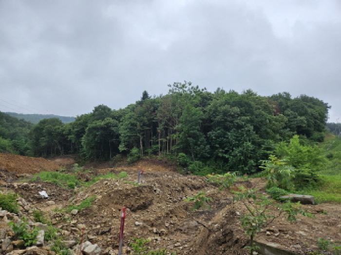 용인시 처인구 포곡읍 임야 경매 물건 사진