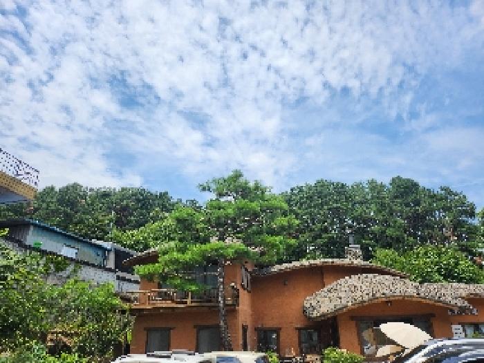 용인시 처인구 이동읍 대지,임야,전답 경매 물건 사진