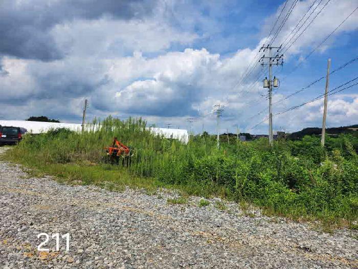 용인시 처인구 포곡읍 대지,임야,전답 경매 물건 사진