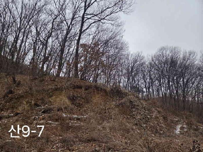 용인시 기흥구 동백동 임야 경매 물건 사진