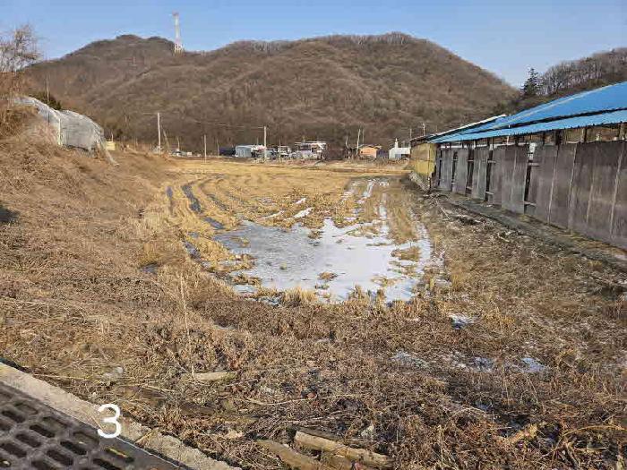 용인시 처인구 원삼면 대지,임야,전답 경매 물건 사진