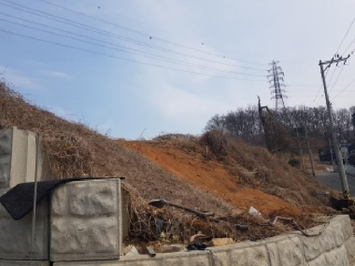 화성시 만세구 향남읍 임야 경매 물건 사진
