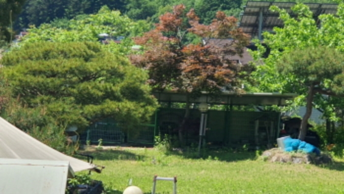 광주시 회덕동 156-3 과수원 경매 물건 사진