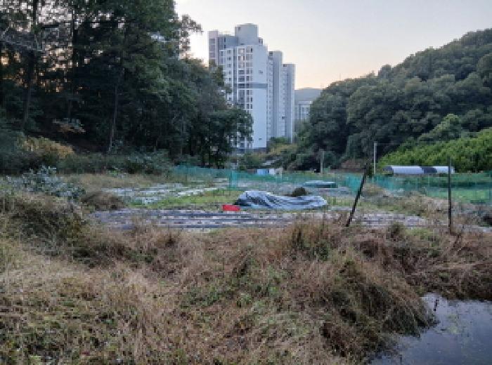 성남시 분당구 대장동 전답 경매 물건 사진