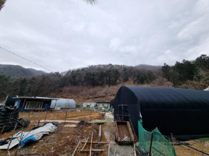 광주시 초월읍 무갑리 기타 경매 물건 사진