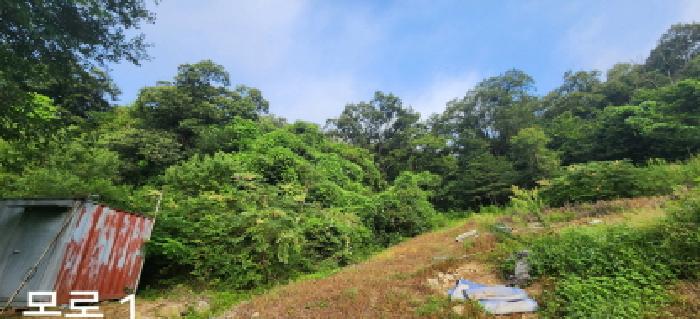 광주시 직동 289-17 전 경매 물건 사진