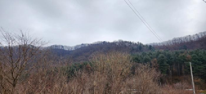 광주시 도척면 추곡리 임야 경매 물건 사진