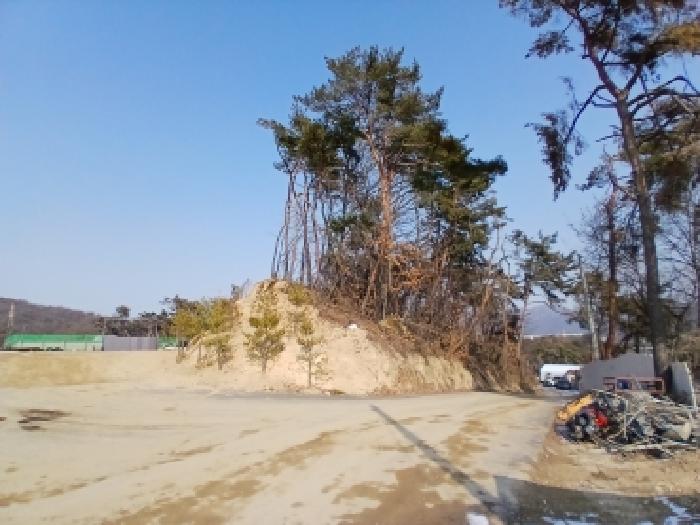 하남시 춘궁동 398-24 임야 경매 물건 사진