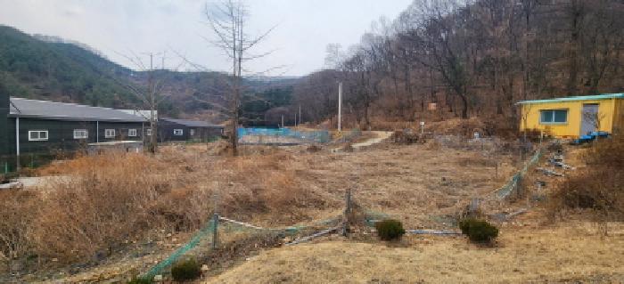 광주시 태전동 590 임야 경매 물건 사진