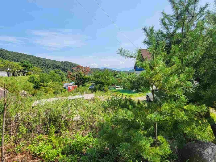 양평군 강하면 동오리 도로 경매 물건 사진