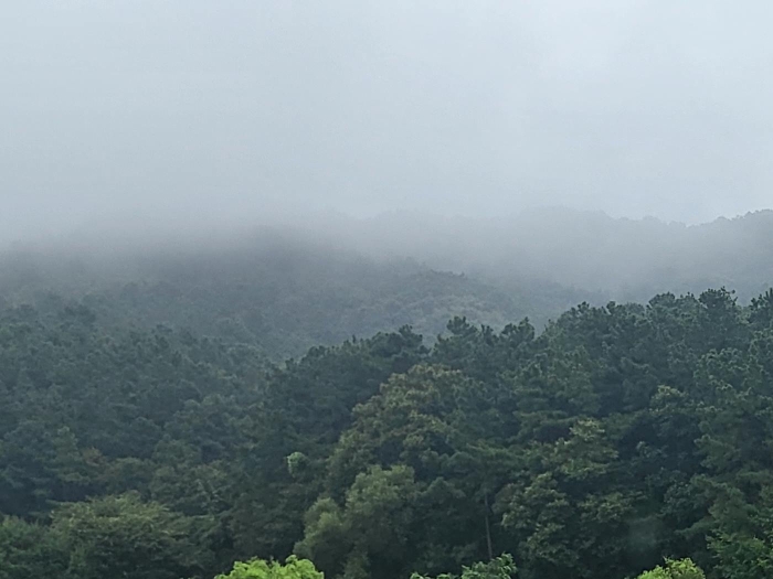 여주시 대신면 옥촌리 임야 경매 물건 사진