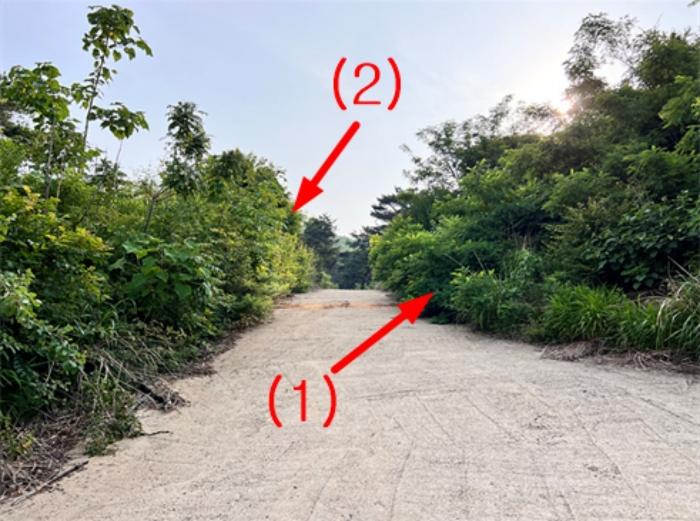 양평군 강하면 전수리 임야 경매 물건 사진