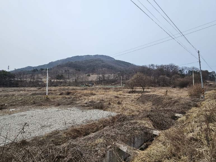이천시 율면 월포리 전답 경매 물건 사진