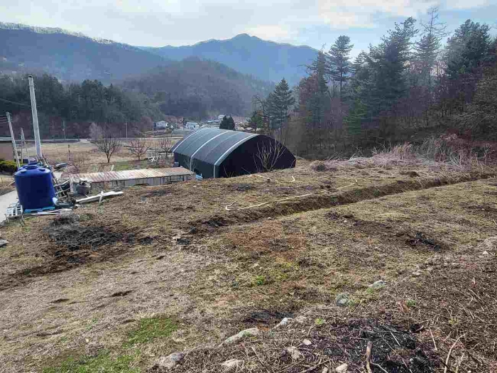 양평군 강하면 항금리 전답 경매 물건 사진