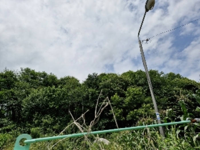 양평군 청운면 용두리 임야 경매 물건 사진