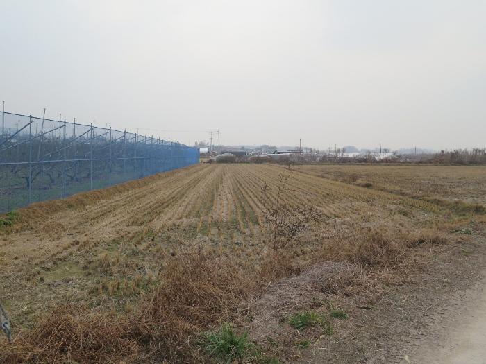 이천시 모가면 산내리 답 경매 물건 사진
