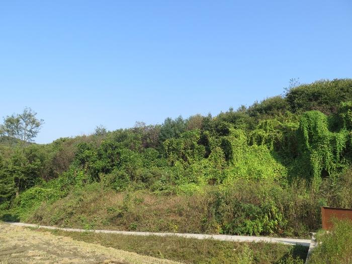 양평군 양동면 단석리 임야 경매 물건 사진