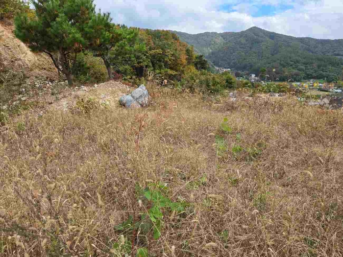 양평군 용문면 연수리 임야 경매 물건 사진