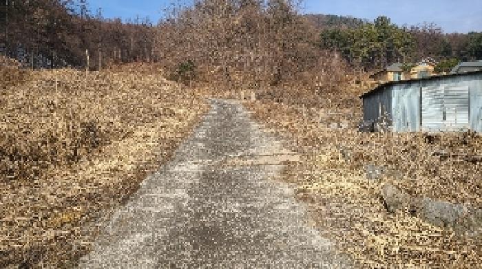 양평군 양동면 금왕리 도로 경매 물건 사진