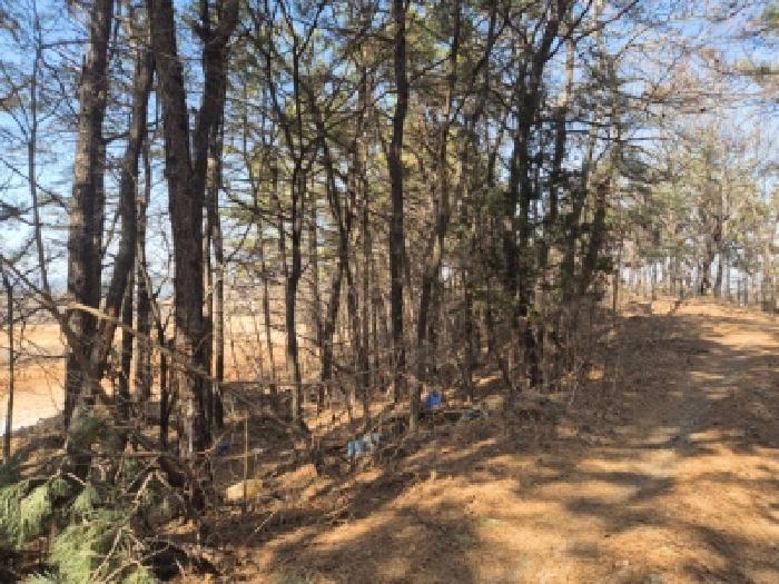여주시 가남읍 대신리 임야 경매 물건 사진