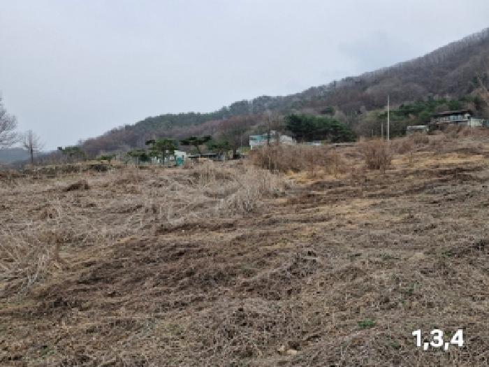 양평군 단월면 삼가리 목장용지 경매 물건 사진