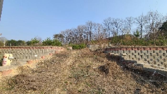 여주시 대신면 당산리 임야 경매 물건 사진