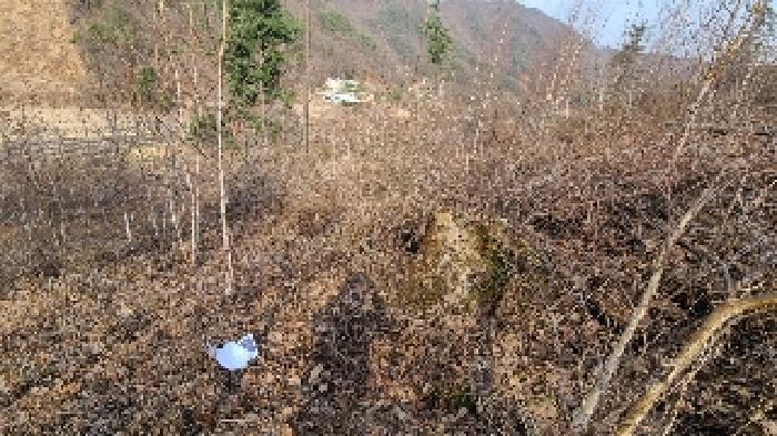 양평군 강하면 성덕리 도로 경매 물건 사진