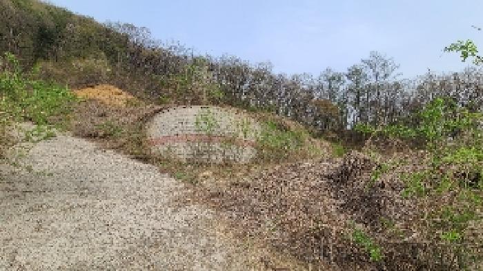 여주시 산북면 주어리 임야 경매 물건 사진