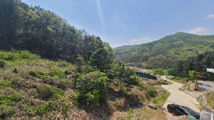 여주시 금사면 주록리 임야 경매 물건 사진
