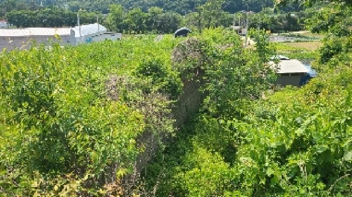 양평군 강하면 전수리 대지,임야,전답 경매 물건 사진
