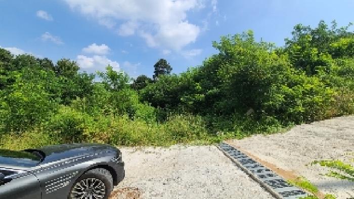 양평군 강하면 전수리 임야 경매 물건 사진