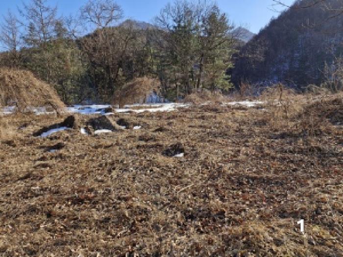 양평군 청운면 가현리 대지,임야,전답 경매 물건 사진