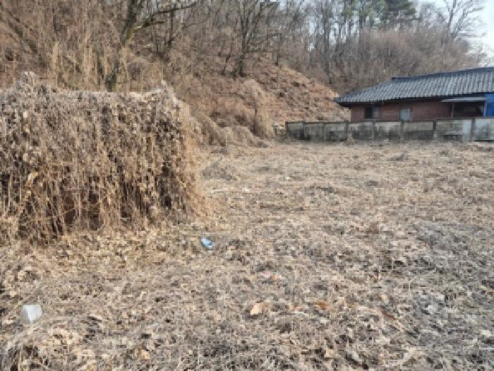 여주시 점동면 현수리 대지 경매 물건 사진
