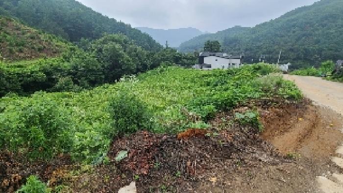 양평군 강상면 대석리 전답 경매 물건 사진