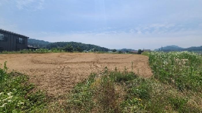 양평군 양동면 삼산리 전답 경매 물건 사진