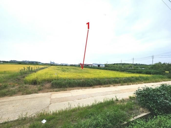 평택시 고덕면 좌교리 답 경매 물건 사진