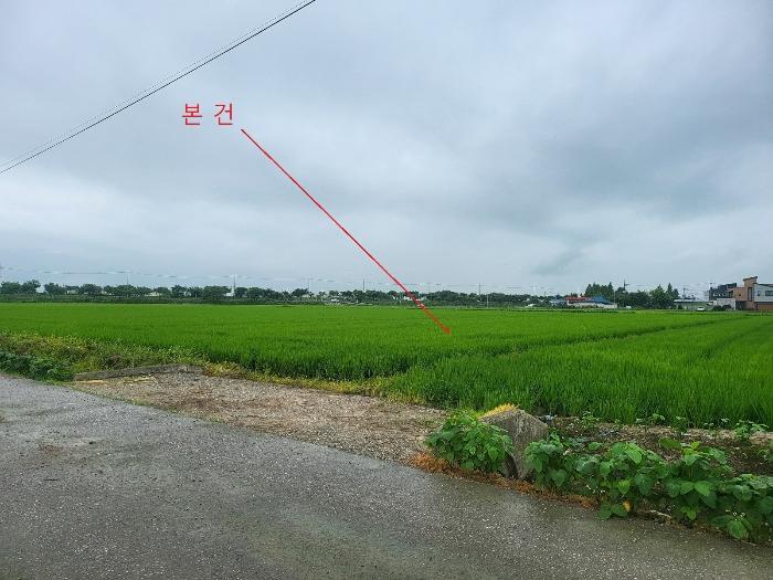 평택시 오성면 당거리 답 경매 물건 사진