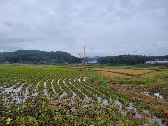 안성시 보개면 기좌리 임야 경매 물건 사진