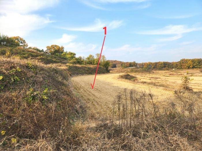 평택시 현덕면 권관리 답 경매 물건 사진