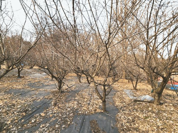 안성시 삼죽면 내강리 전 경매 물건 사진