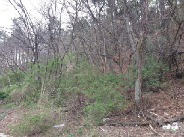 평택시 독곡동 산10 임야 경매 물건 사진
