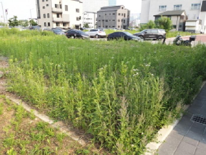 평택시 고덕동 2025-3 대지 경매 물건 사진