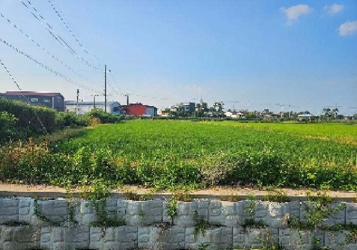 평택시 현덕면 대안리 답 경매 물건 사진