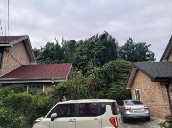 안성시 삼죽면 배태리 임야 경매 물건 사진